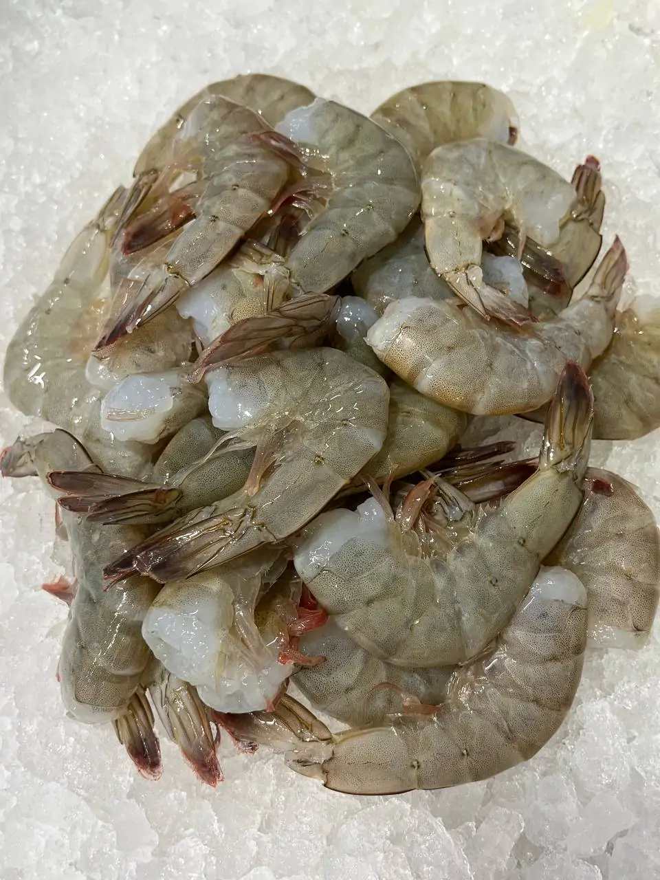 Хвости тигр